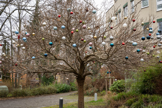 光秃秃的树上的圣诞装饰图片下载
