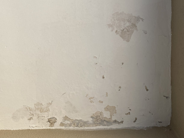 屋面墙体受潮图片下载