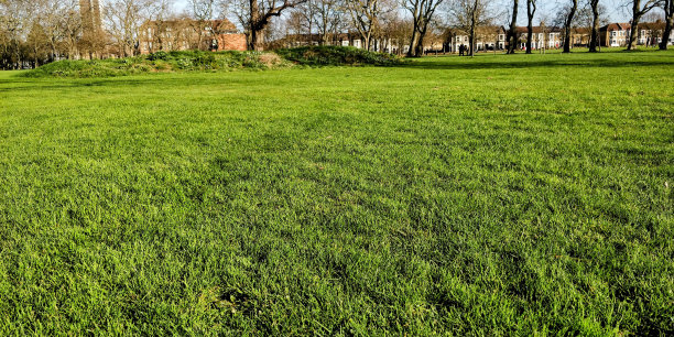 水泥城市中的绿色地球图片下载