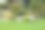高山滑梯公园的常绿植物景观设计图片下载