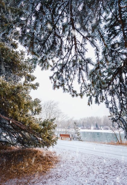 冰雪公园里的大雪图片下载