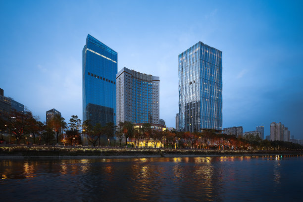 夜晚的成都大桥城市天际线图片下载