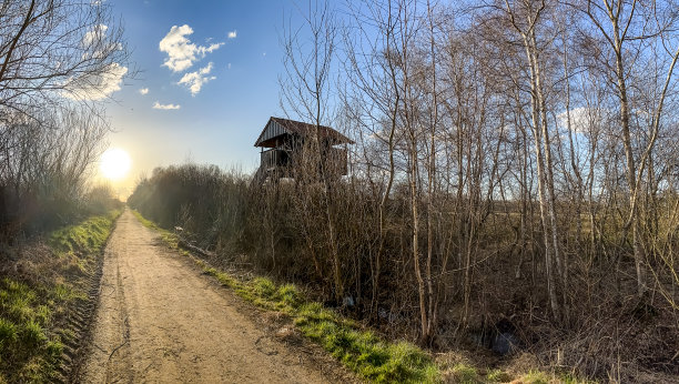 一条穿过荒野森林的小路，还有德国小镇“埃姆斯德滕”附近的一个瞭望塔。图片下载