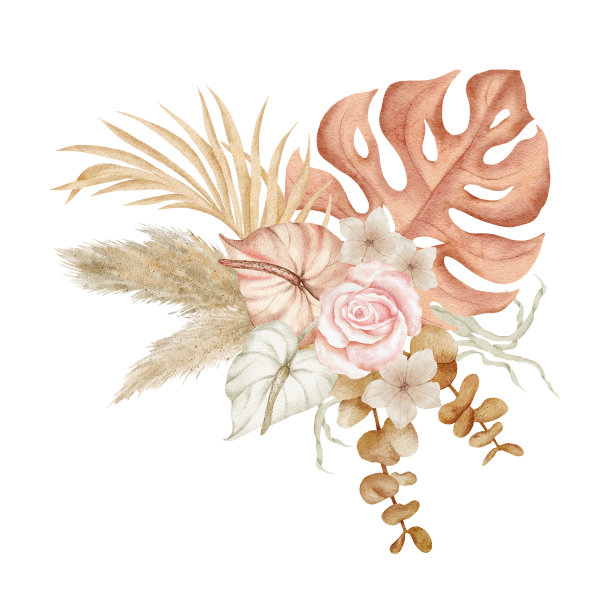 水彩波西米亚热带干花束图片下载