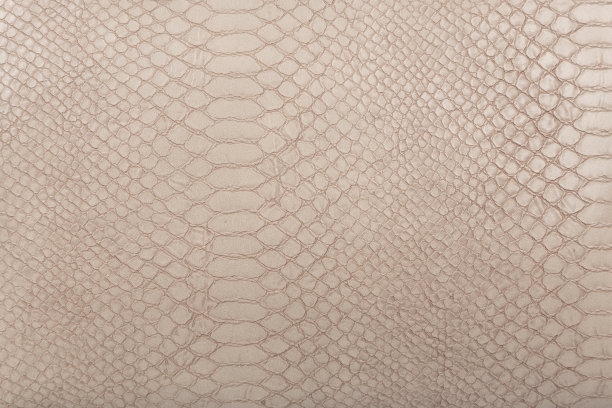 皮革纹理的背景图片下载