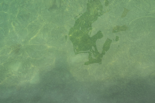 绿色浅海海水图片下载