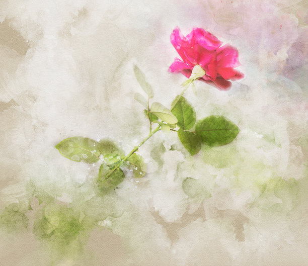 自然花水彩图片下载