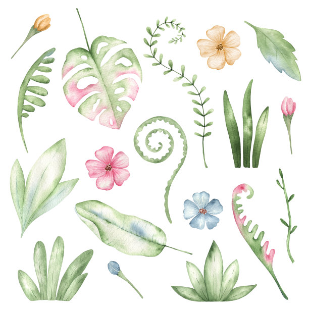 水彩可爱的热带绿色植物图片下载