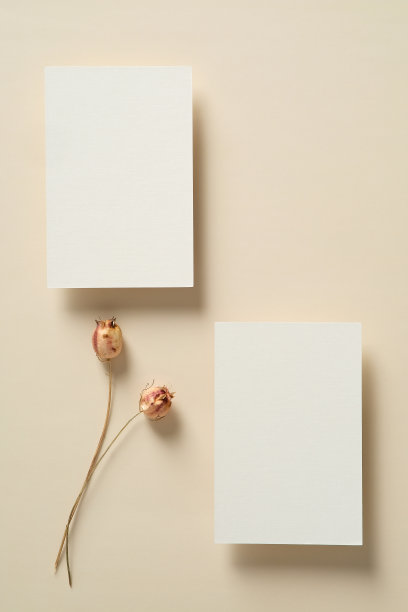 空白的婚礼请柬模型和干花在米色的桌子上。最小的,波西米亚风格。图片下载