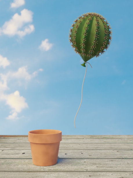 仙人掌以气球的形式逃离花盆图片下载