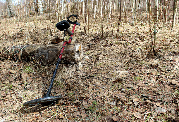 用于户外活动的自然金属探测器图片下载