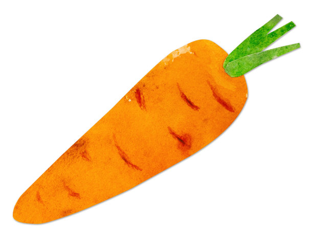 手绘水彩剪纸橙色胡萝卜。明亮可爱的卡哇伊童心风格插图，适合农贸市场，超市产品设计，贴纸或明信片图片下载