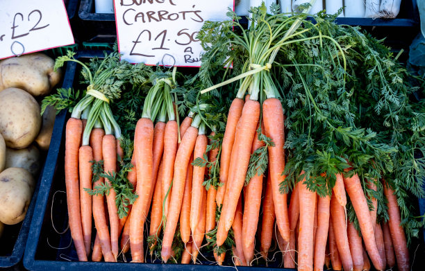 一堆新鲜的小胡萝卜，没有人图片下载