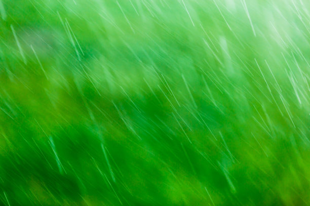 模糊落下的雨滴在绿色背景与选择性聚焦图片下载