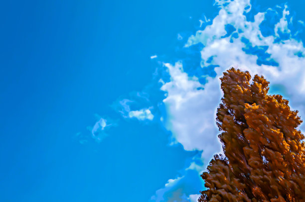 色调自然的花卉背景与美丽的树的艺术写实插图图片下载