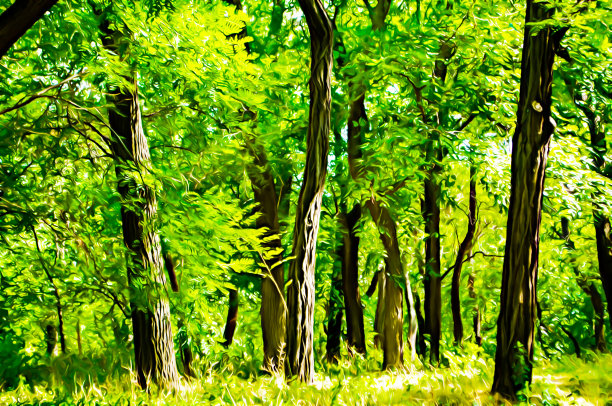 艺术写实插画的夏季公园与大量的绿色植物，树木和草地在一个阳光明媚的晴朗的日子图片下载