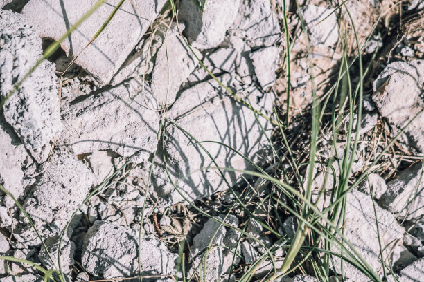 摘要真实照片grunge背景。浅灰色破碎分散的混凝土沥青路面宏观近距离纹理表面镜头。设计，墙面装饰装饰。绿草如茵，大自然污染乱乱图片下载