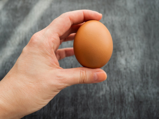 这只手拿着一个鸡蛋。图片下载