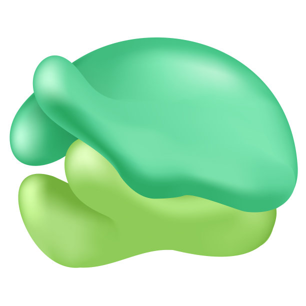 核糖体图片下载