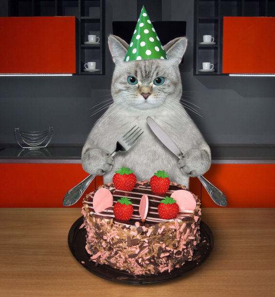 猫在厨房里吃着草莓蛋糕图片下载