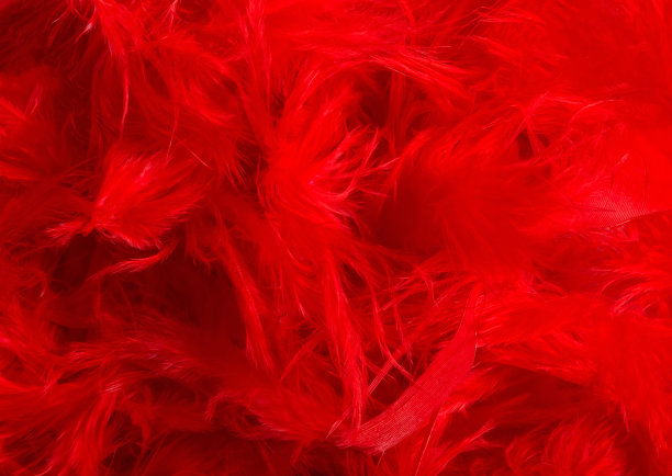 红色羽毛纹理背景照片。图片下载