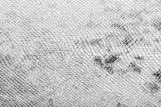 蛇皮和皮毛表面纹理的背景照片。图片下载