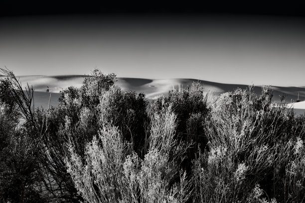 沙漠刷图片下载