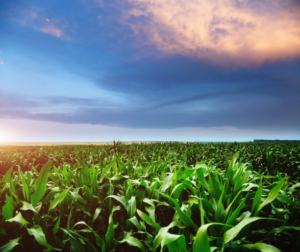 彩云乡村风光。图片下载