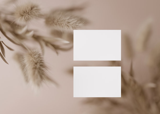 浅棕色背景的空白白色名片，上面有干燥的植物。模拟品牌身份。两张牌，显示两面。图形设计师的模板。免费的,复制空间。3 d渲染。图片下载