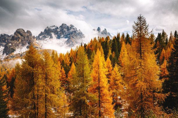 令人惊叹的高山峡谷的图片。位置地点拉瓦雷多国家公园，南蒂罗尔。图片下载