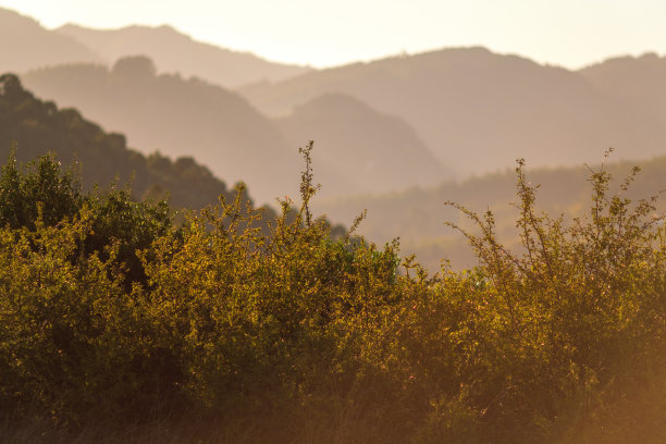 山日落时图片下载