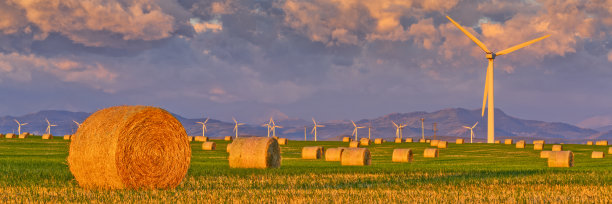 加拿大阿尔伯塔省农村图片下载