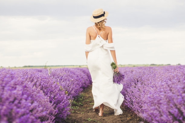 薰衣草地里的女人。女人在白色的连衣裙和帽子的背面视图。去薰衣草一排排。身着白裙白帽的女孩站在薰衣草地里。软焦点图片下载