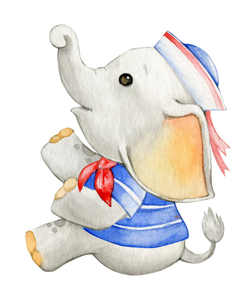 可爱的小大象穿着海服。水彩，热带动物，在一个孤立的背景上卡通风格。图片下载