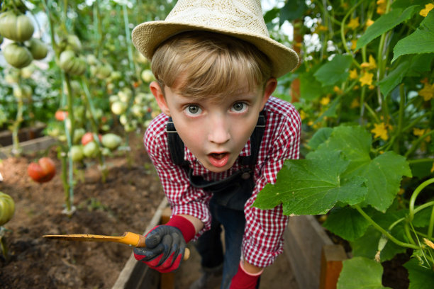 绿色房子的男孩图片下载