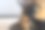 她是一个公主图片下载