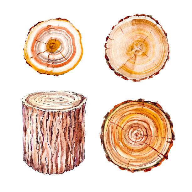 一套木桩画在水彩和孤立的白色背景上图片下载