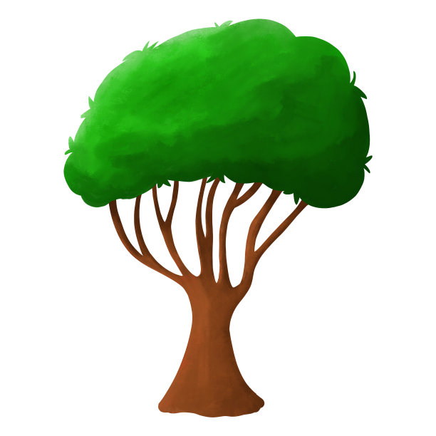 孤立的绿色树在白色的背景。说明单株热带树种图片下载