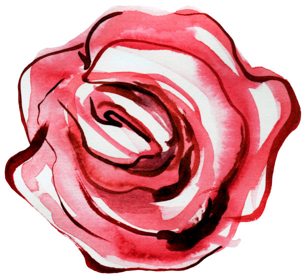 粉红色的玫瑰。从花上剪下的图案图片下载