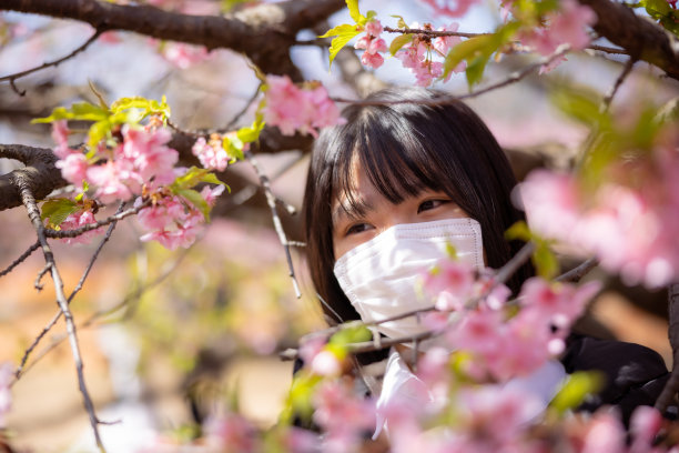 少女在公园里赏樱花图片下载
