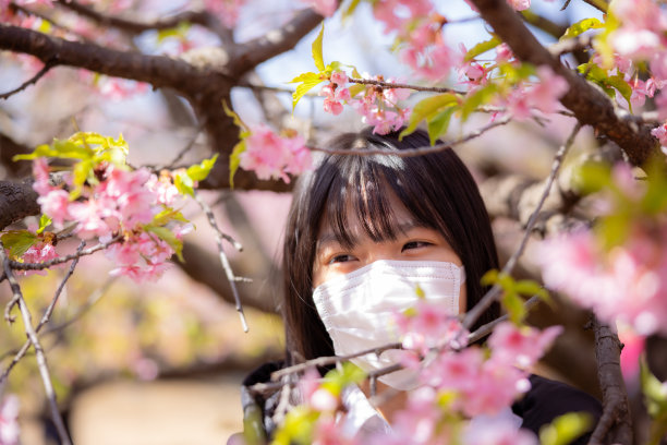 少女在公园里赏樱花图片下载