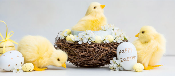 金色，黄色，白色的蛋在一个鸟巢，樱花树枝和可爱的黄色小鸡在白色的木制背景。最小的概念。2022年复活节卡片上有副本的地方供文字。图片下载