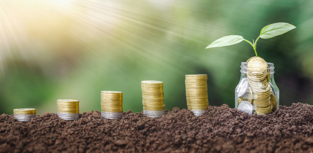硬币堆在土壤上。金融和投资的成长和储蓄观念。越来越多的钱。投资、退休或教育概念图片下载