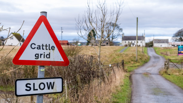 农场上的红色标志警告前方的牛群并减速图片下载