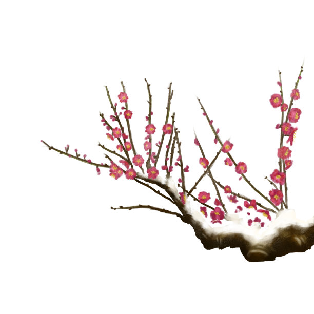 立冬大雪梅花冬天图片下载