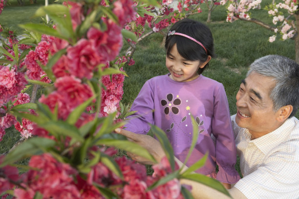 老人和小女孩欣赏花朵图片下载