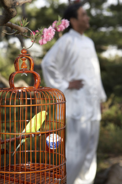 老年男子在公园遛鸟图片下载