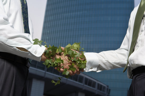 商务人士握手图片下载