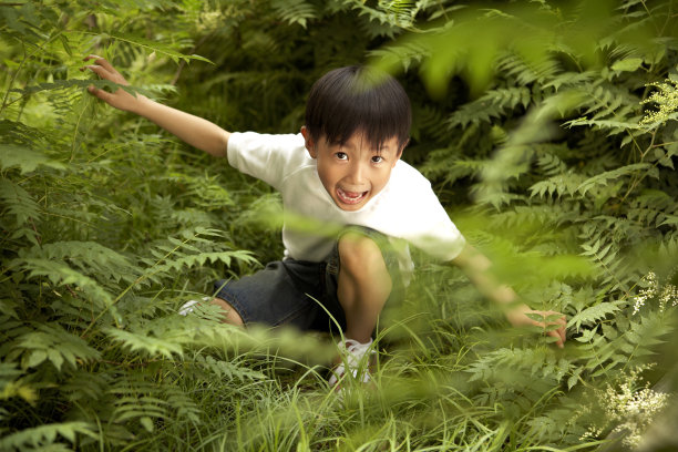 小男孩躲在草丛里图片下载