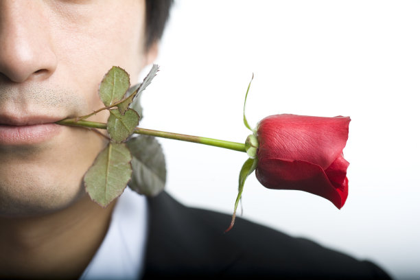 叼红玫瑰图片下载